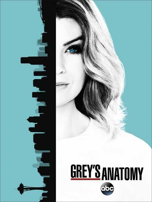 مسلسل Greys Anatomy الموسم 13 الحلقة 2