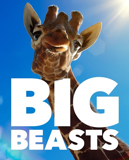 مسلسل Big Beasts الموسم الاول الحلقة 4 مترجمة