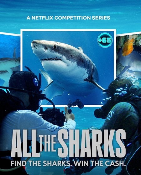 برنامج All the Sharks الموسم الاول مترجم كامل