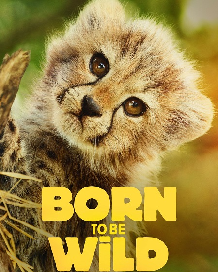 مسلسل Born to be Wild الموسم الاول مترجم كامل